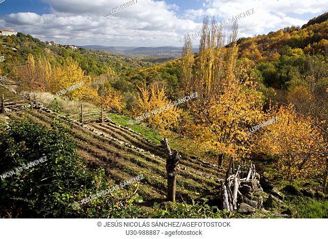 Trail of Camino del Agua, in Las Batuecas-Sierra de Francia Natural Park  Mogarraz  Monforte de la Sierra  Salamanca  Castilla y León  Spain
