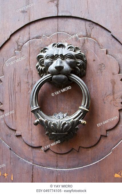 Ancient italian lion shaped door knocker on wooden background