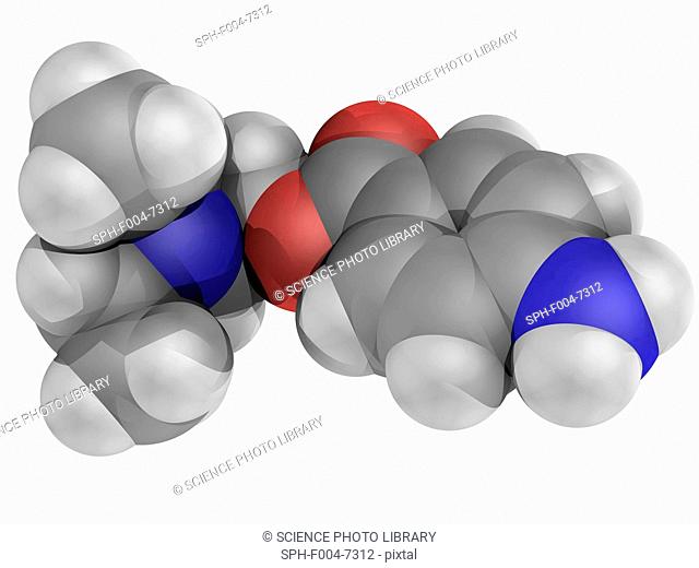 Procaine novocaine, molecular model. Local aesthetic drug acting as a sodium channel blocker. Atoms are represented as spheres and are colour-coded: carbon grey