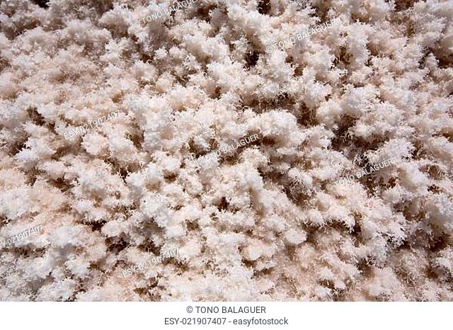 Badwater Basin Death Valley salt textures macro