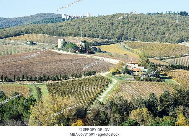 Different colors of vast Tuscany vineyard fields, surrounded by forest, and small private stone houses and villas, connected by rural roads