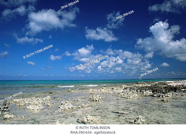 Rocky shore, Grand Cayman, Cayman Islands, West Indies, Central America