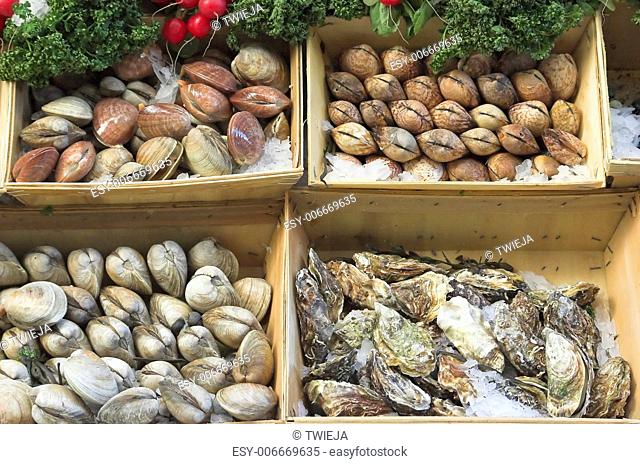 Belgian seafood restaurant in Brussels - seafood on display