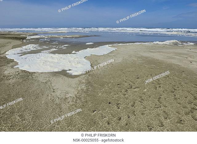 Foam on the beach of Terschelling and the tracks of the Lugworm, The Netherlands, Friesland, Terschelling