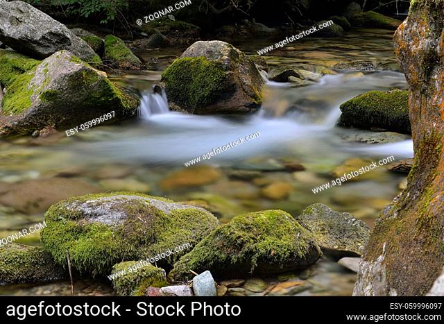 Alpine river in Valle Pesio, Piedmont
