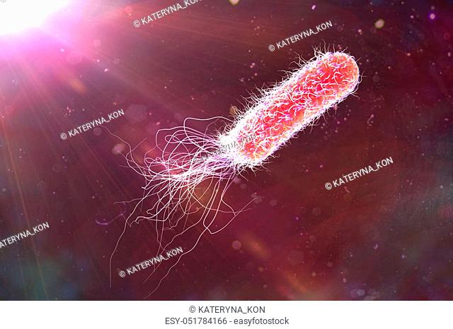 Bacterium Pseudomonas aeruginosa on colorful background, antibiotic-resistant nosocomial bacterium, 3D illustration. Illustration shows polar location of...