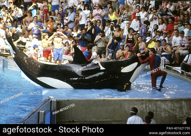 firo, 1991 archive photo, archive photo, archive, archive photos football, soccer, WORLD CUP 1994 USA, 94 country and people, preliminary report Sea World