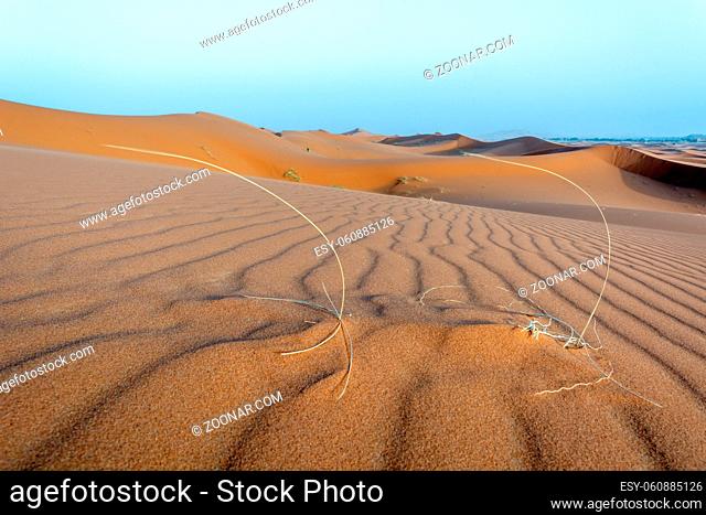 erg chebbi dunes in morocco