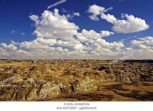 Overview of badlands in Red Deer River Valley at Dinosaur Provincial Park, Alberta, Canada