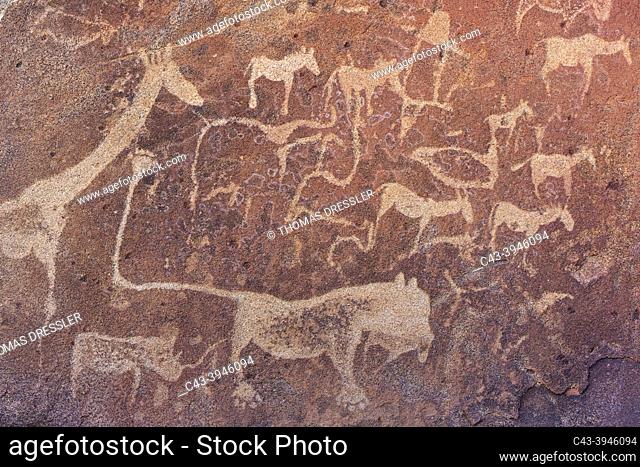 The famous lion panel at the Twyfelfontein rock engravings west of the town of Khorixas. World Heritage Site. Damaraland, Kunene Region, Namibia