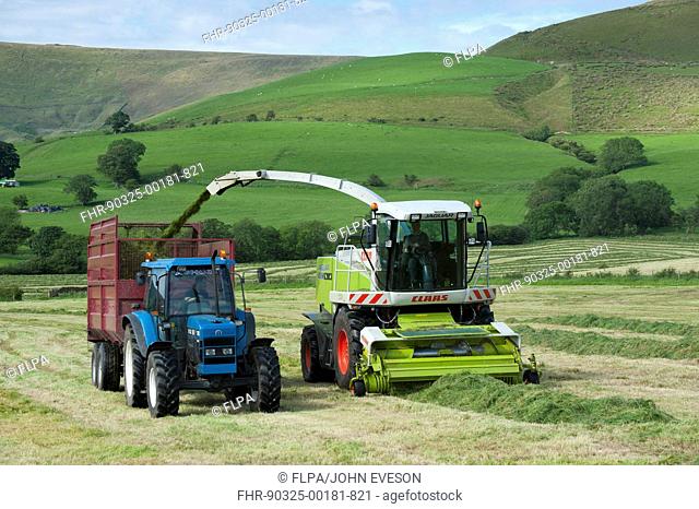 Forage harvesting grass for silage, forage harvester cutting grass and loading wagon, Bleasedale, Lancashire, England, june