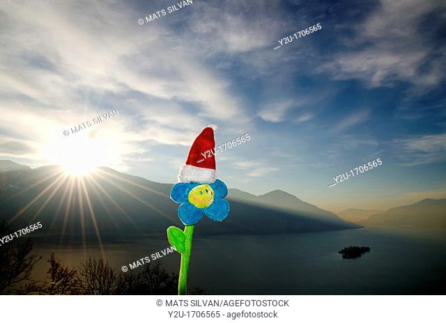 Smile flower with christmas hat and sunbeam