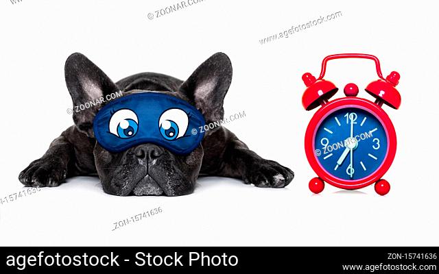 french bulldog dog sleeping, resting or relaxing on the ground isolated on white background with eye mask