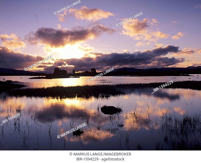Loch Ba at sunrise, Rannoch Moor, Highlands, Scotland, United Kingdom, Europe
