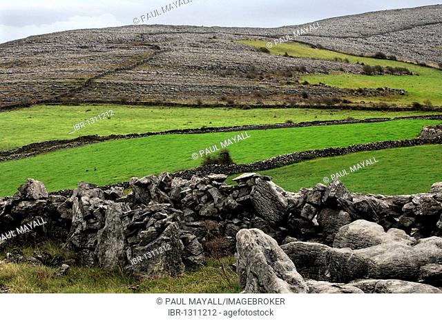Stone wall fence, Ireland, Irish Republic, Europe