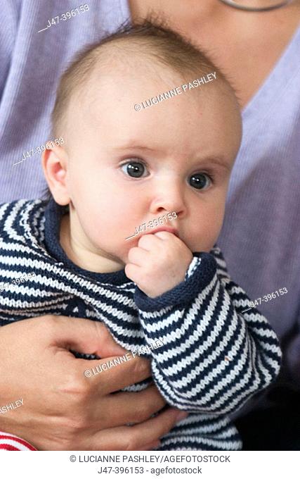 2 month old baby boy, sitting on mothers knee, hand to mouth, headshot