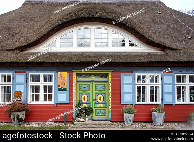 Germany, Mecklenburg-West Pomerania, Prerow, traditional house with thatched roof, cafe and culture, Christmas tree