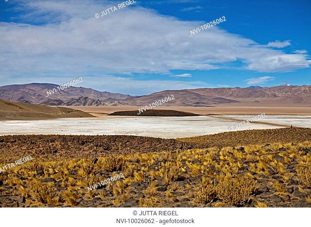 Lithium Salt Lake, Salar del Hombre Muerto, Catamarca Province, Argentina, South America