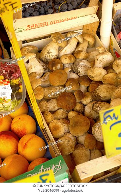 Fruit & Vegetable Stall - Porcini Mushrooms ; Market - Chioggia - Venice Italy