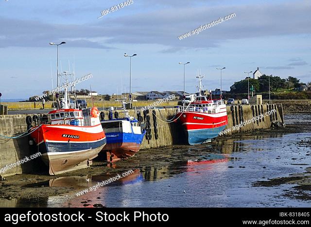 Fishing boat in Roscoff harbour at low tide, Sainte-Barbe chapel in the back, Finistere Penn ar Bed department, Bretagne Breizh region, France, Europe