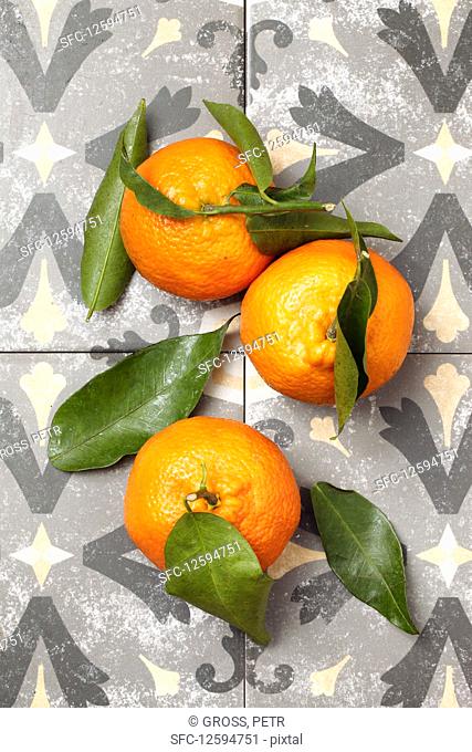 Three fresh mandarins with leaves