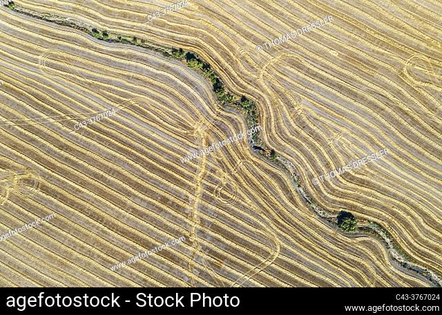 Abstract patterns in cornfield after wheat harvest and dry stream. In the Campiña Cordobesa, the fertile rural area south of the town of Córdoba