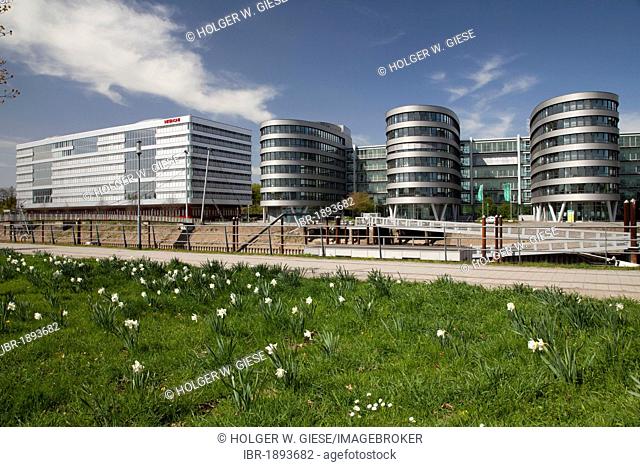 Office building, Hitachi Power Office, Five Boats, spring with blooming daffodils, Innenhafen port, Duisburg, Ruhrgebiet area, North Rhine-Westphalia, Germany