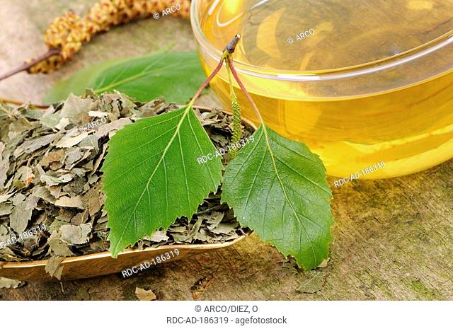 Cup of Sand Birch leaf tea, Betula pendula