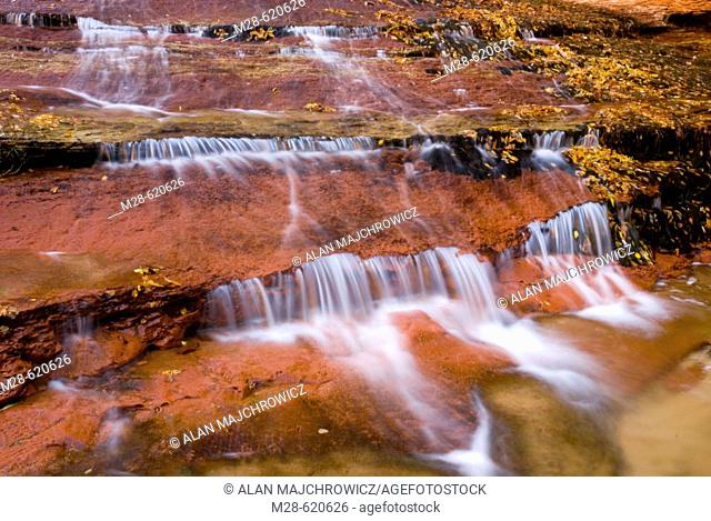 Left Fork of North Creek flowing over red sandstone, Zion National Park. Utah, USA
