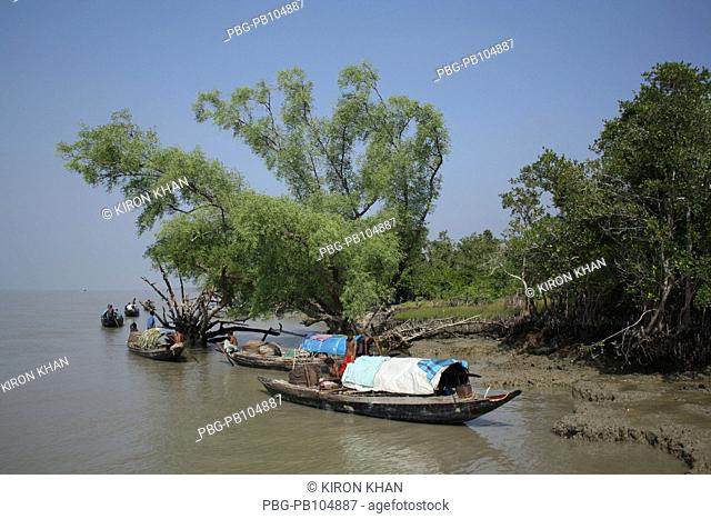 Fishing boats are parked along the bank of a river in Dublar Char, Sundarban, Khulna, Bangladesh November 2009