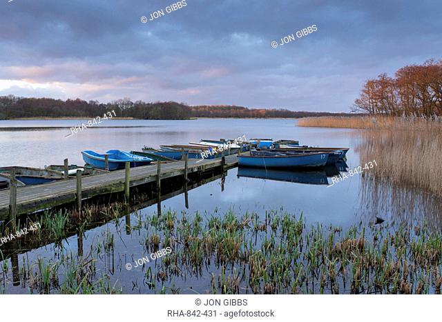 A view of Ormesby Little Broad, Norfolk, England, United Kingdom, Europe