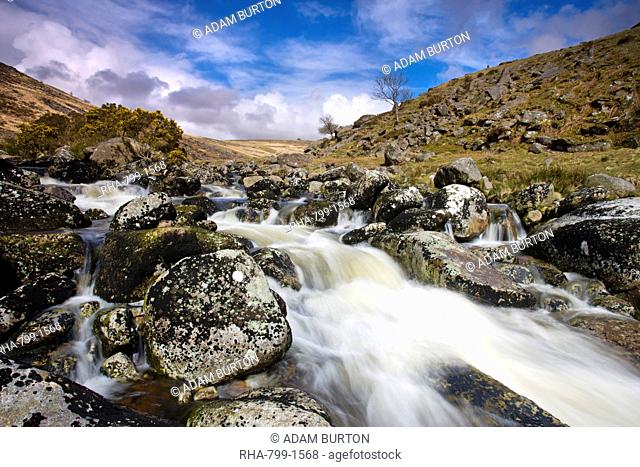 Rocky stream at Tavy Cleave, Dartmoor, Devon, England, United Kingdom, Europe