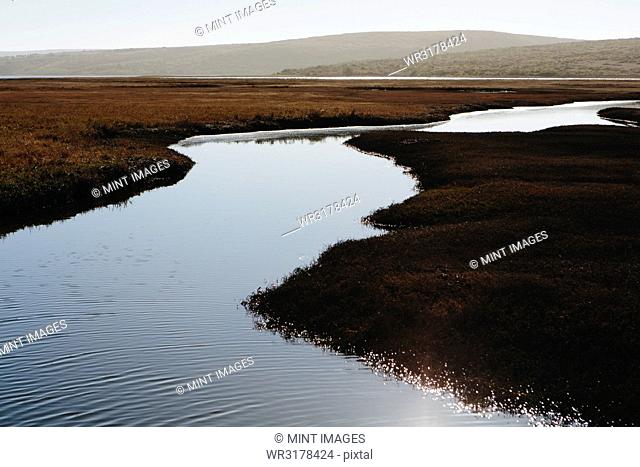 The open spaces of marshland and water channels. Flat calm water