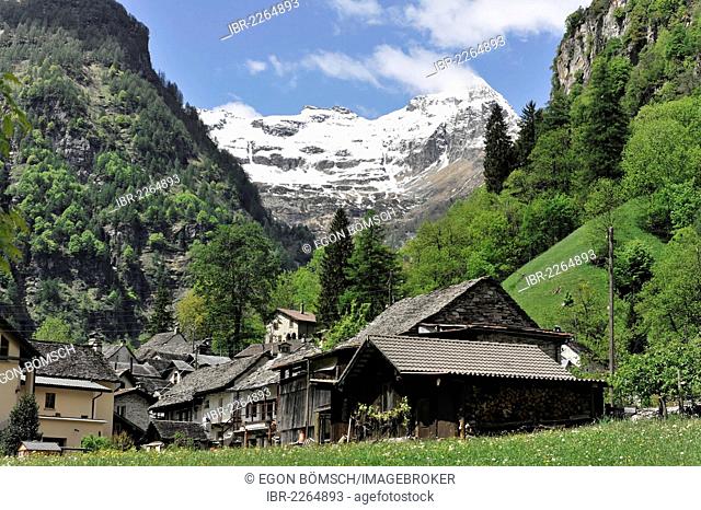 The village of Sonogno, 918m, in the Valle Verzasca valley, Canton Ticino, Switzerland, Europe