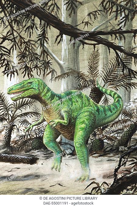 Tarbosaurus bataar, Tyrannosauridae, Late Cretaceous. Artwork by J Dang