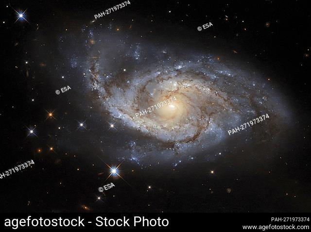 The spiral arms of the galaxy NGC 3318 are lazily draped across this image from the NASA/ESA Hubble Space Telescope released on January 21, 2022
