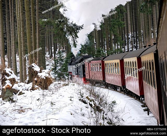Harzer Schmalspurbahnen, Brockenbahn, Schierke, Harz, Saxony-Anhalt, Germany