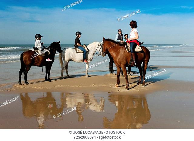 Equestrian tourism on the beach, Doñana Natural Park, Matalascañas, Huelva province, Region of Andalusia, Spain, Europe