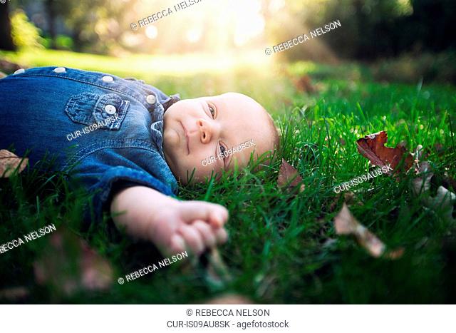 Baby boy wearing denim shirt lying on autumn leaf covered grass in sunlight looking away
