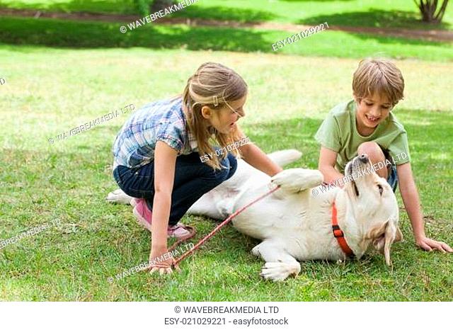 Full length of kids playing with pet dog at park