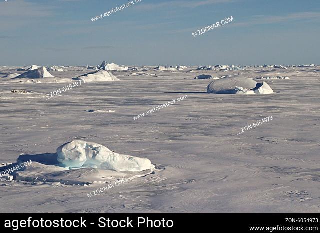small icebergs frozen in the ice of the Southern Ocean near the Antarctic Peninsula