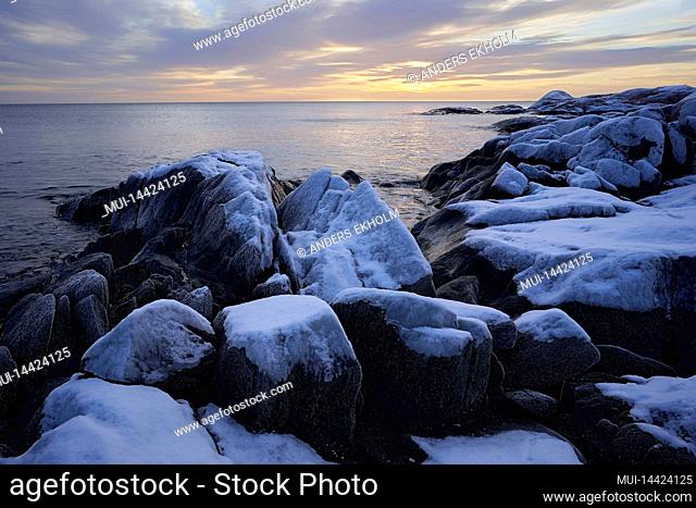 Sweden, Uppland, Väddö, baltic sea, wintermorning, snowcovered cliffs