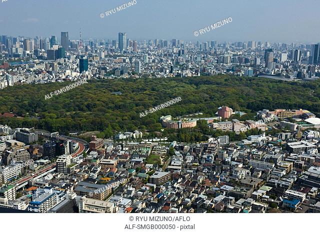 View of Tokyo cityscape, Japan