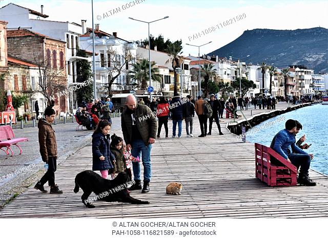 27 January 2019, Turkey, Izmir, Foca: Children play with a stray dog and a cat in the old town. Photo: Altan Gocher | usage worldwide. - Izmir/Turkey