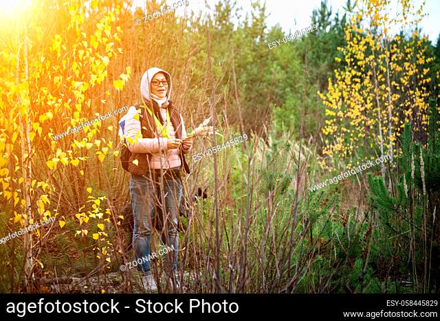 Companions Autumn Walk. Woman With Dog Stand Among Tall Grass In Autumn Mixed Forest. Woman In Sweatshirt And Jeans Holds In Her Hands Bouquet Of Dried Flowers