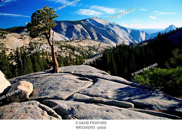Olmstead Point, Yosemite National Park, UNESCO World Heritage Site, California, United States of America, North America
