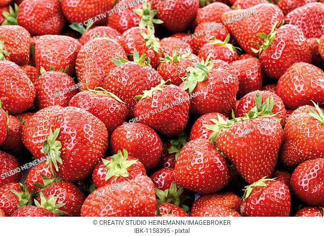Strawberries, full-frame