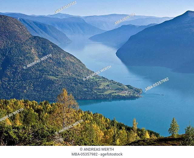 View from mount Molden, over the Lustrafjord, inner branch of Sognefjord, tongue of land of Urnes, Norways oldest stave church, Sognefjord, Norway