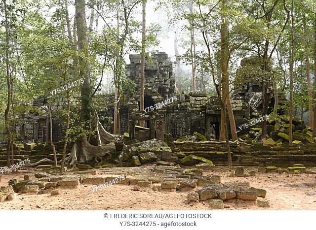 Ta Prohm temple, Angkor, Unesco, Siem Reap, Cambodia, South east Asia