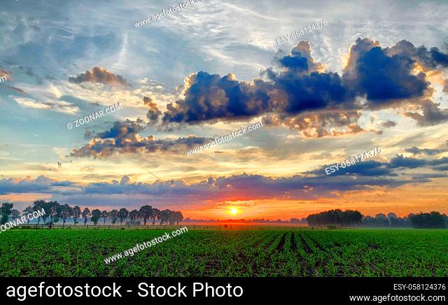 Dramatic and colorful sunrise sky. Dramatic and colorful sunrise or sunset sky over a grassy green farmfield